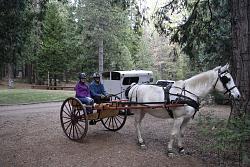 1 Horse Cart Seat-image.jpg