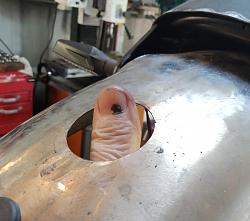 1974 XS/TX650 rebuild-.jpg