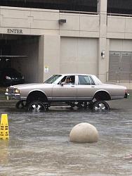 1986 Oldsmobile Cutlass donk car - photo-hvd47ydc6khrzwhw2afdn5ecntnvqmrbxnnpw3itt1o.jpg