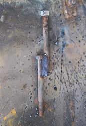 28" wood / coal forge build-wp_20200523_11_05_46_profor.jpg
