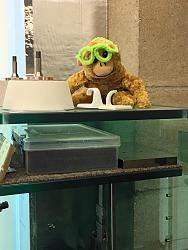 Click image for larger version.&nbsp;

Name:	FF.jpg&nbsp;
Views:	411&nbsp;
Size:	185.7 KB&nbsp;
ID:	28871