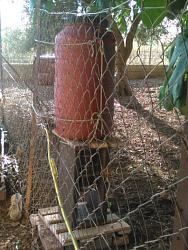 AUTOMATIC   CHICKEN   WATERER-5.jpg