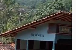 Bamboo roller coaster - GIF-what-language.jpg