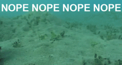 Barber gives haircut with angle grinder - video-nope-nope-nope.gif