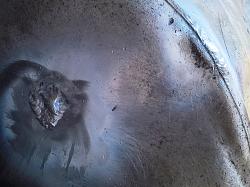Barrels explode after being welded together - GIF-wp_20200529_13_57_15_richftrr.jpg