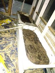 bath tub grow beds-img_20211111_004343gh.jpg
