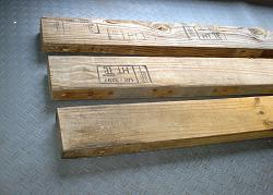 Bench Bull-1.jpg