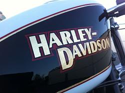BikeBuilds.net: 2003 Harley-Davidson 1200 Sporty by Flavourless-hdbe5.jpg