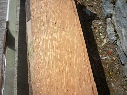 BoatBuilds.net: Coconut Trimaran by Harrymaya-cocotrimaran3.jpg