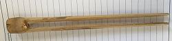 Bug tweezers-bug-tweezers.jpg