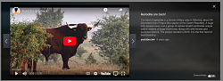 Click image for larger version.&nbsp;

Name:	aurochs.png&nbsp;
Views:	117&nbsp;
Size:	679.5 KB&nbsp;
ID:	45740