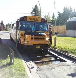 Bus trap - photo-dacbj.jpg