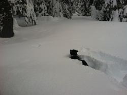 Click image for larger version.
Name: 20x30norcalcabin11.jpg
Views: 329
Size: 28.2 KB
ID: 7921