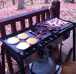 CabinBuilds.net: Log Cabin by Sarg68-cabin5.jpg