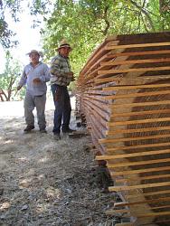 CabinBuilds.net: Wood Frame Mendocino Cabin by Justin and Karin-camountaincabin2.jpg