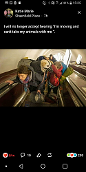 Cat countertop deterrent and the Falling Cat Problem - GIFs and video-screenshot_2022-03-02-15-25-41.png