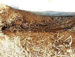 Chicken coop and pen-20171214_144125.jpgcc.jpg