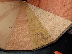 Choice of finishing - burl veneer-dsc06335_1600x1200.jpg