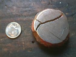 Click image for larger version.&nbsp;

Name:	BigMushroom2.JPG&nbsp;
Views:	244&nbsp;
Size:	133.8 KB&nbsp;
ID:	18824