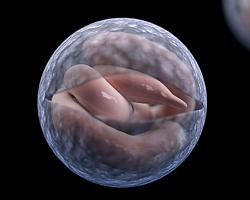 Coronavirus and homemade tools-yeccch-.jpg