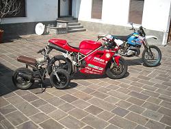 Cowhide Motorcycle Jacket - DIY-599817_4384935944269_1337691971_n.jpg