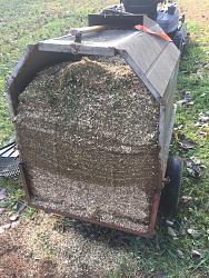 Click image for larger version.&nbsp;

Name:	24 full bin branches.JPG&nbsp;
Views:	63&nbsp;
Size:	170.6 KB&nbsp;
ID:	50085