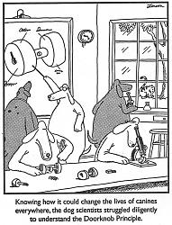 Dog climbing a ladder - video-dog-scientists.jpg