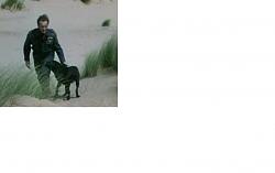 Dog wheelchair-thered-dogs.jpg