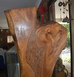 Click image for larger version.
Name: rsz_1rsz_dsc_0886.jpg
Views: 179
Size: 151.2 KB
ID: 28073