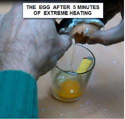 Click image for larger version.&nbsp;

Name:	F3.jpg&nbsp;
Views:	252&nbsp;
Size:	53.0 KB&nbsp;
ID:	33056