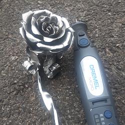 Flower...-img_20180815_203823_009.jpg