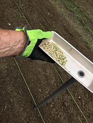 Click image for larger version.
Name: 01 seed planter.JPG
Views: 121
Size: 139.6 KB
ID: 49301