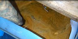 Click image for larger version.&nbsp;

Name:	f7.jpg&nbsp;
Views:	131&nbsp;
Size:	101.3 KB&nbsp;
ID:	39495