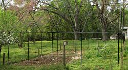 Geodesic Greenhouse-img_9052.jpg
