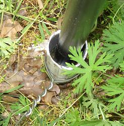 Geodesic Greenhouse-img_9056.jpg