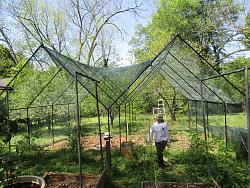 Geodesic Greenhouse-img_9129.jpg