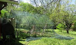 Geodesic Greenhouse-img_9131.jpg