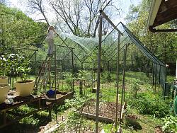 Geodesic Greenhouse-img_9135.jpg