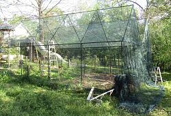 Geodesic Greenhouse-img_9144.jpg