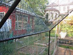 Geodesic Greenhouse-img_9172.jpg