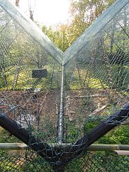 Geodesic Greenhouse-img_9173.jpg