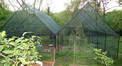 Geodesic Greenhouse-img_9194.jpg