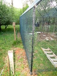 Geodesic Greenhouse-img_9199.jpg