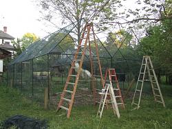 Geodesic Greenhouse-img_9205.jpg