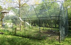 Geodesic Greenhouse-img_9224.jpg