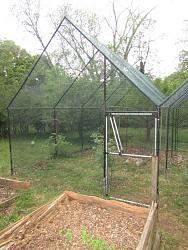 Geodesic Greenhouse-img_9243.jpg