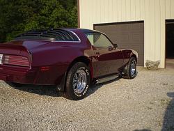 GMBuilds.net: 1975 Pontiac Firebird Trans Am-trgn1.jpg