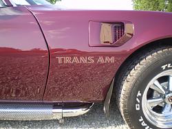 GMBuilds.net: 1975 Pontiac Firebird Trans Am-trgn3.jpg