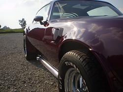 GMBuilds.net: 1975 Pontiac Firebird Trans Am-trgn4.jpg