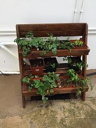 Grey Water recovery system-grey-water-systen-hiding-.jpg
